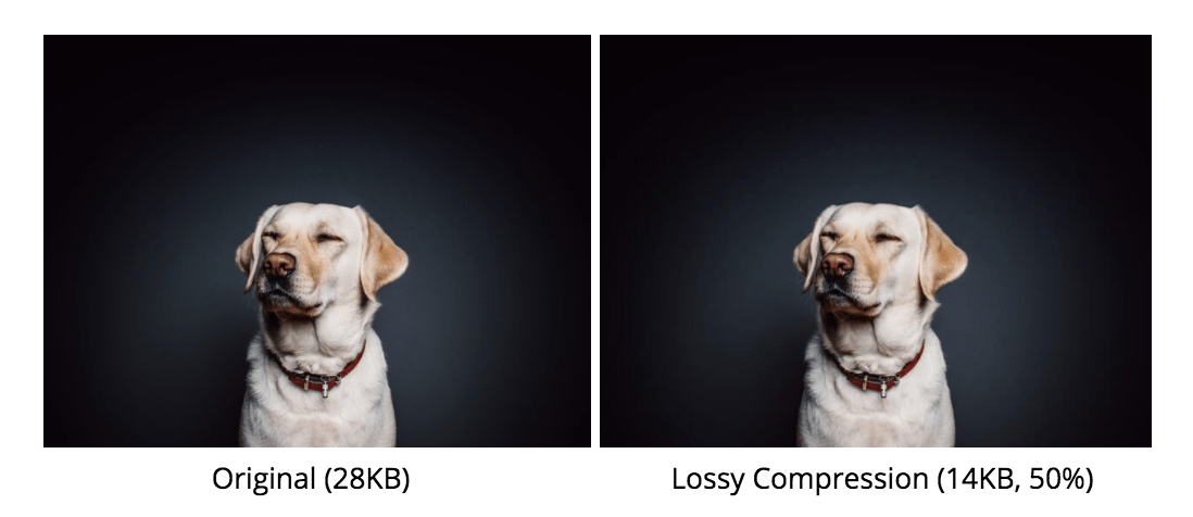 Why Image Compression is Important for Website Page Speeds and SEO